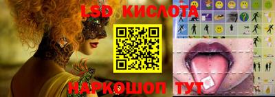 мдпв Камышлов