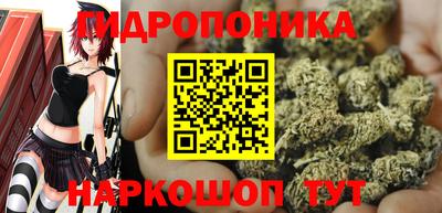 мдпв Камышлов