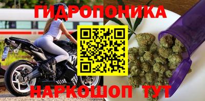 a pvp Кандалакша