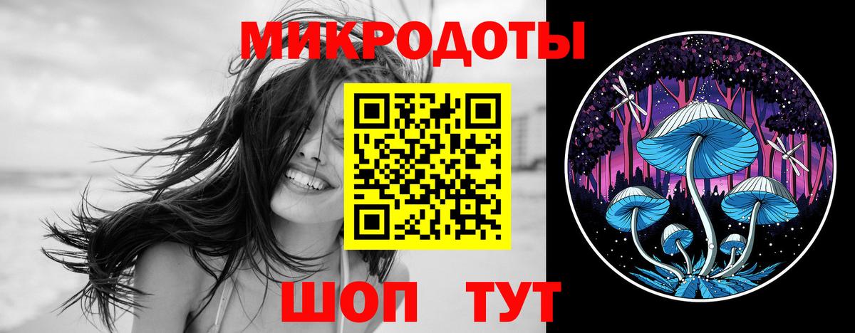 Псилоцибиновые грибы Psilocybine cubensis Конаково