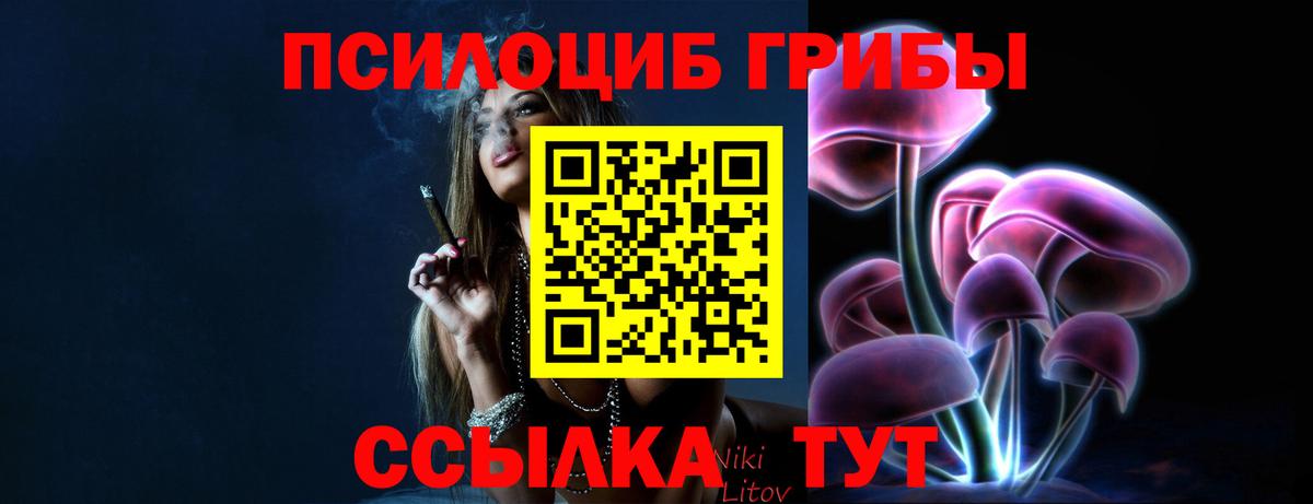 Конаково  Галлюциногенные грибы прущие грибы  Вход с VPN 